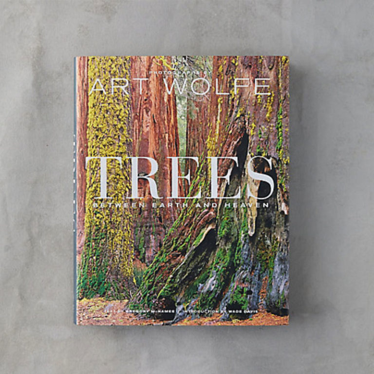 Amazing Gift Ideas for Nature and Tree Lovers - The Mood Guide