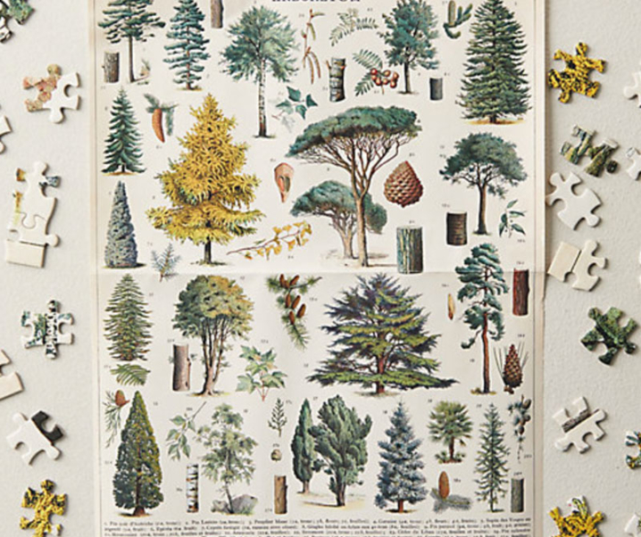 Amazing Gift Ideas for Nature and Tree Lovers