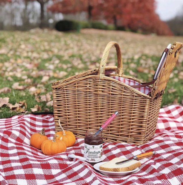 Everything you Need to Set the Perfect Cottagecore Picnic - The Mood Guide