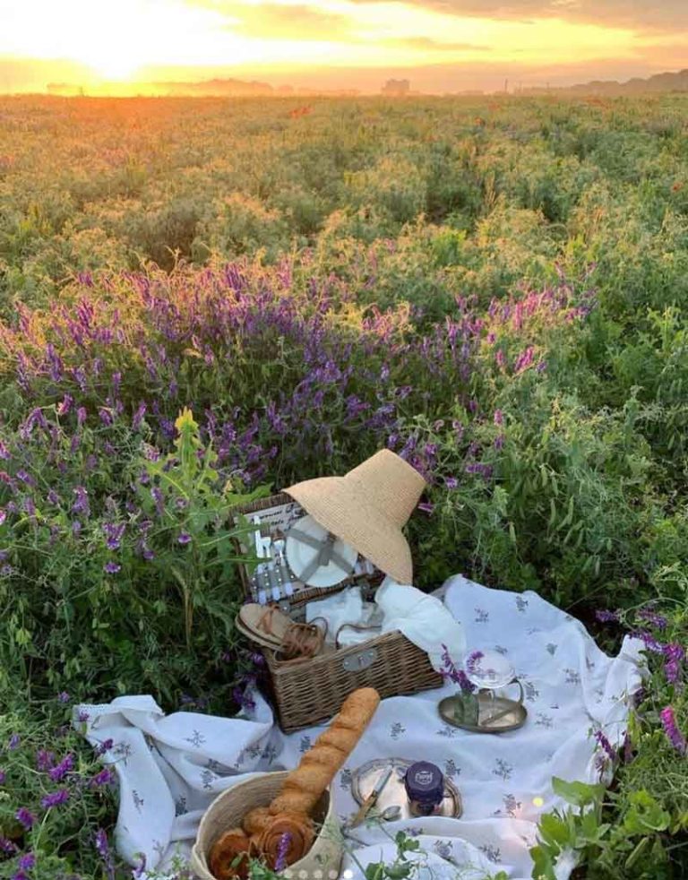 Everything You Need to Set the Perfect Cottagecore Picnic The Mood Guide