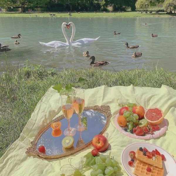 Everything you Need to Set the Perfect Cottagecore Picnic