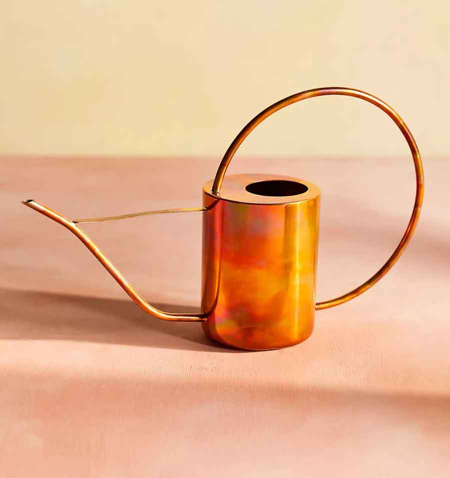 copper watering can cottagecore gift