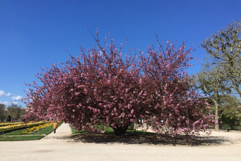 Spring: A Thoughtful Guide For The Equinox, From Cleaning To Quotes & Decor Ideas