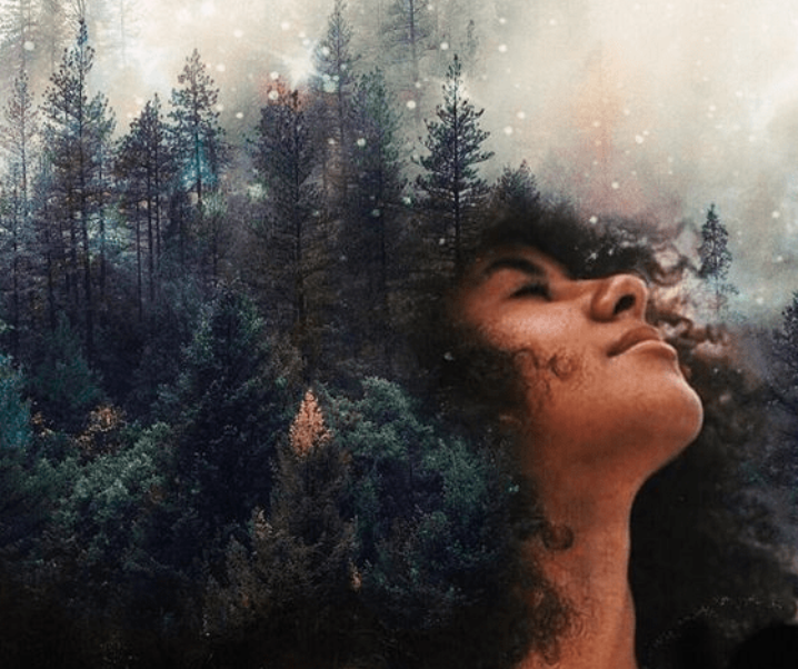Powerful Forest Aesthetic Inspiration To Connect You With Mother Nature