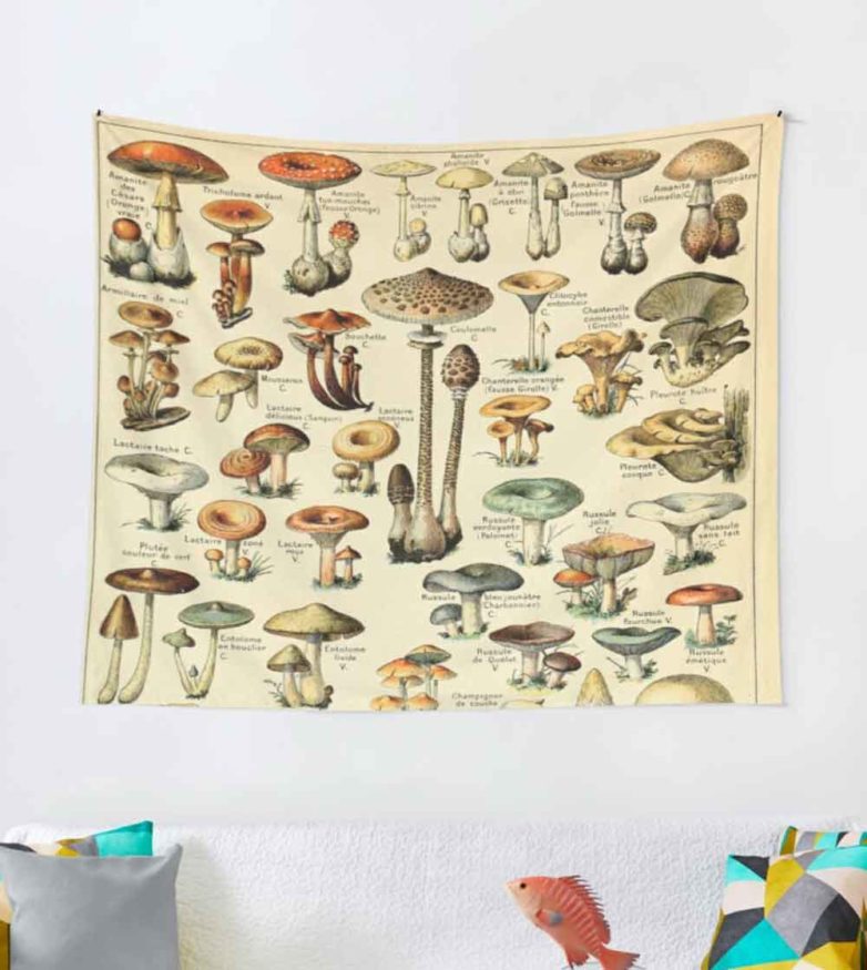 Mushroom Decor to make your Home Look and Feel like a Cottagecore ...