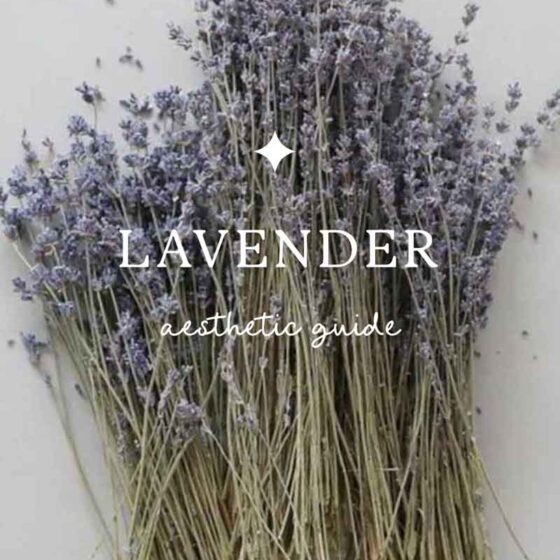 Evoking the Lilac Lavender Aesthetic & Meaning to your Life