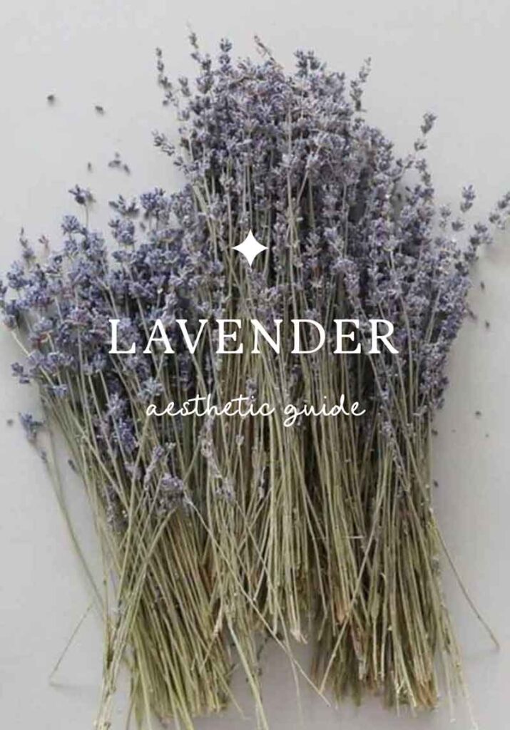 lavender aesthetic guide