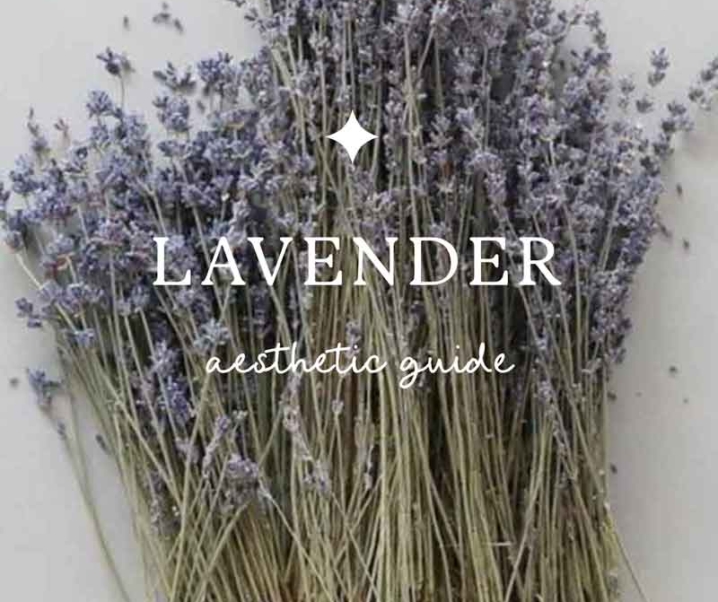 Evoking the Lilac Lavender Aesthetic & Meaning to your Life