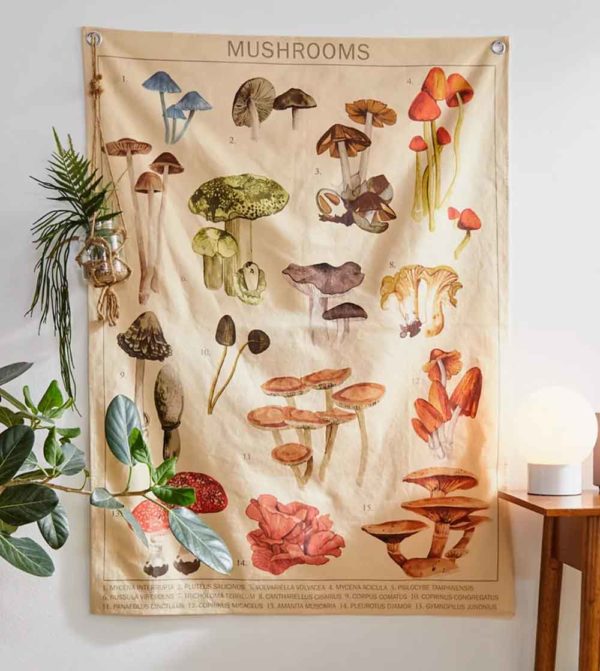 Mushroom Decor to make your Home Look and Feel like a Cottagecore ...