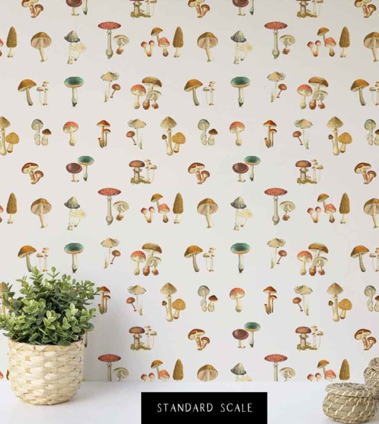 Mushroom Decor to make your Home Look and Feel like a Cottagecore ...