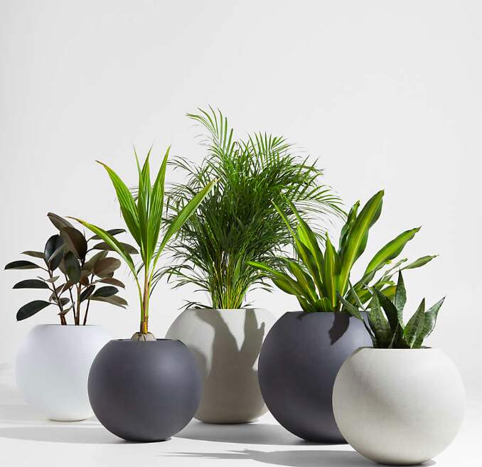 Modern Sphere Outdoor Planters at Crate & Barrel