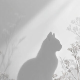 Top Beauty Upgrades to Plan for 2026