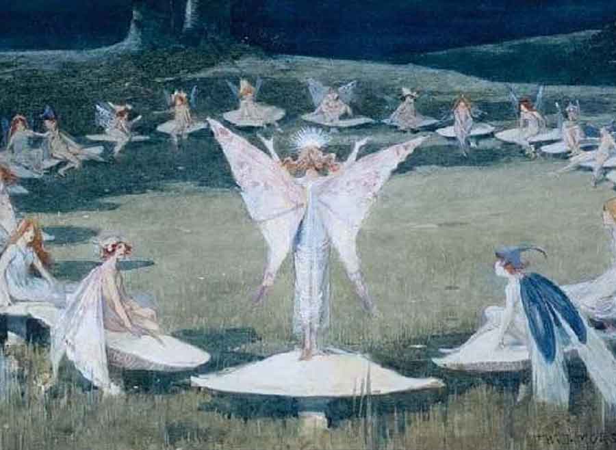 fairy wing art