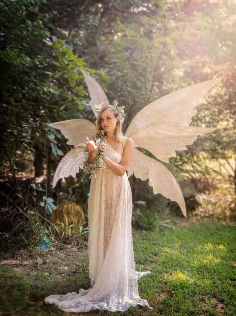 white large fairy wings costume for adults