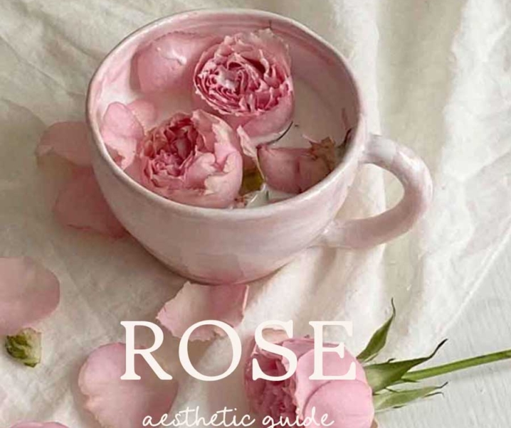 Rose Aesthetic Guide