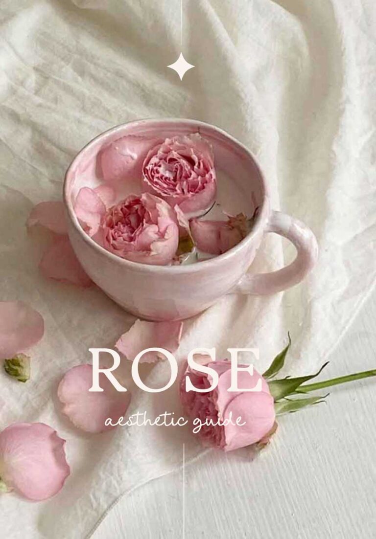 Rose Aesthetic Guide