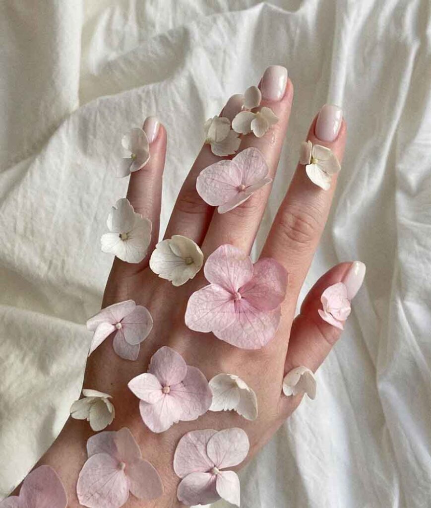 rose petals aesthetic