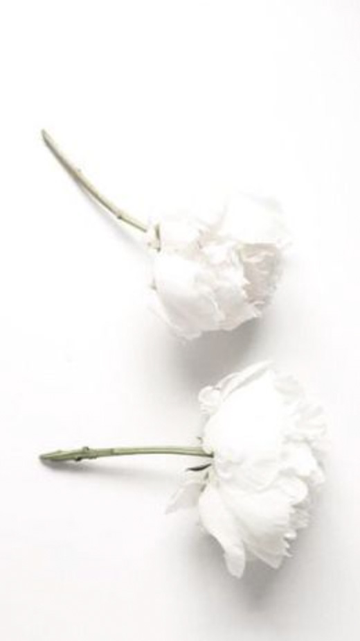 white aesthetic wallpaper flowers