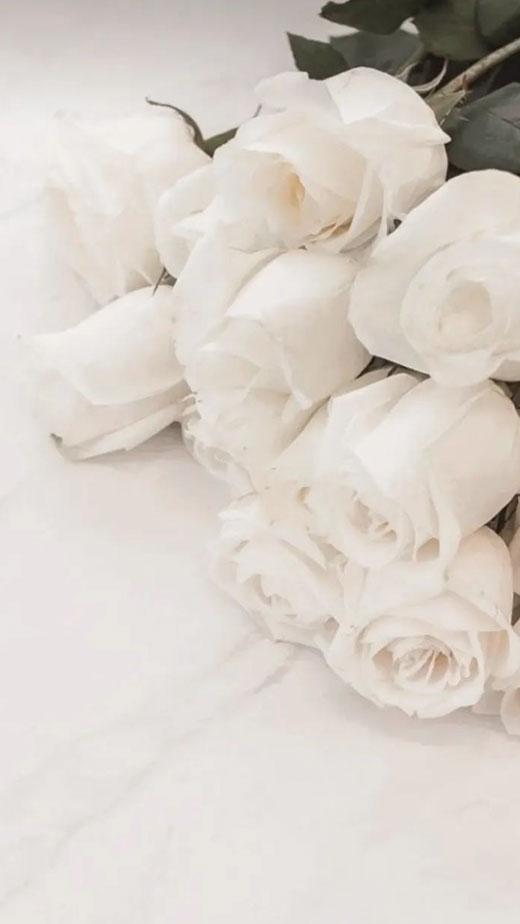 floral white roses aesthetic wallpaper