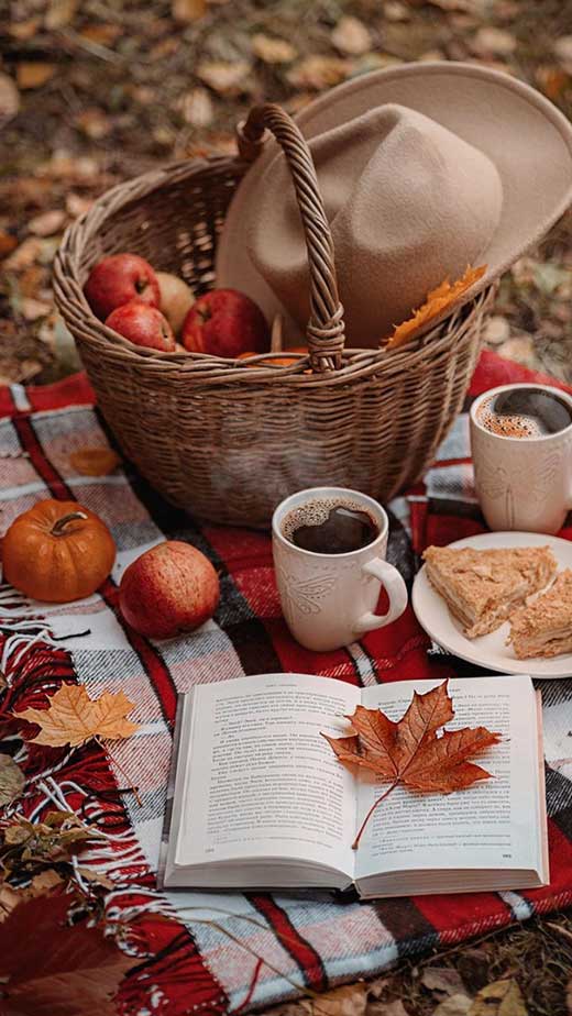 cozy moment fall wallpaper autumn aesthetic picnic wallpaper