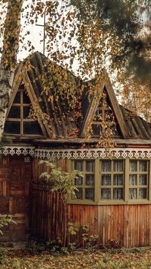 autumn fall cozy cottagecore background wallpaper