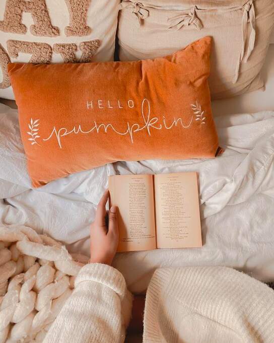 Cute Fall Aesthetic hello pumpkin pillow