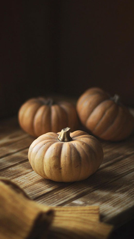 aesthetic pumpkin autumn wallpaper