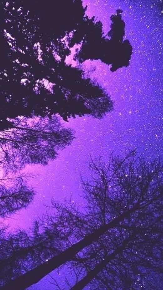 HD wallpaper purple aesthetic  Dark purple aesthetic, Purple aesthetic,  Purple vibe