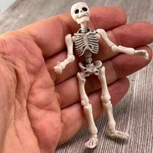 Miniature Posable Skeleton