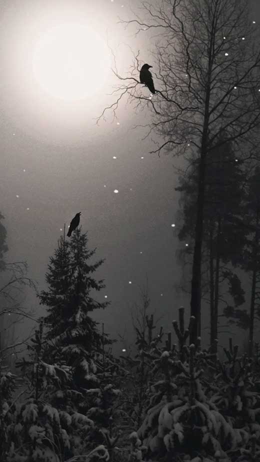 a misty forest with full moon in an aesthetic moon wallpaper for iphone in black and white