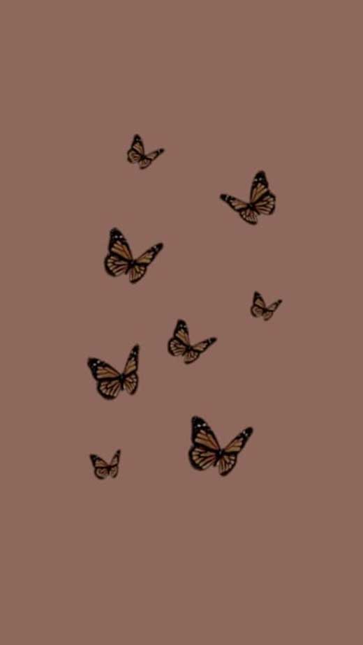 butterfly fall aesthetic wallpaper for iphone