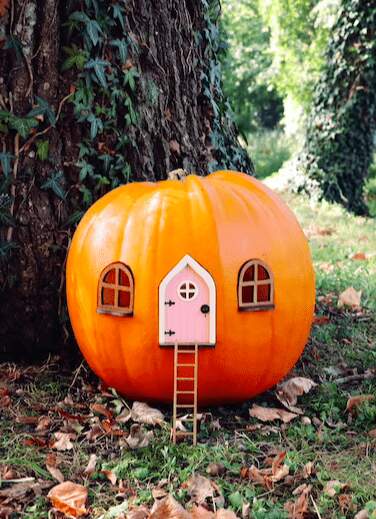 Fairy Pumpkin House Set: Pink Magical Door, Windows, and Ladder