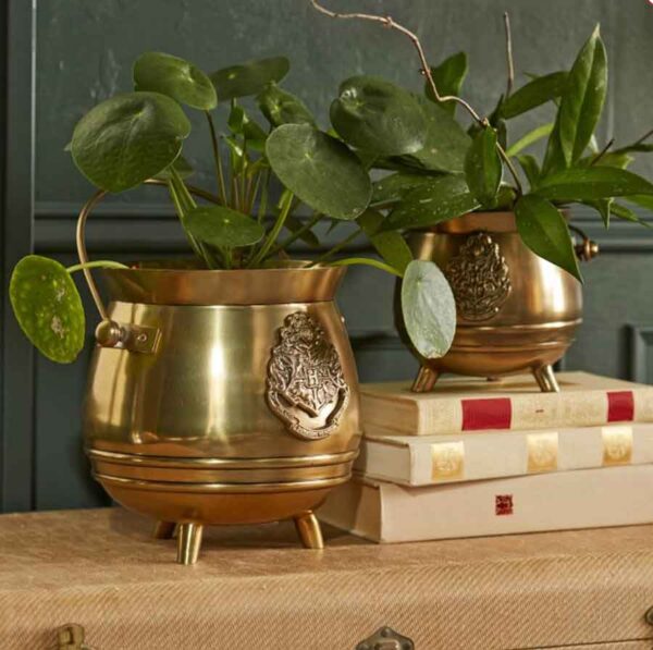Enchanting Harry Potter Gifts for Women