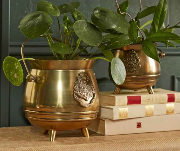 Enchanting Harry Potter Gifts for Women