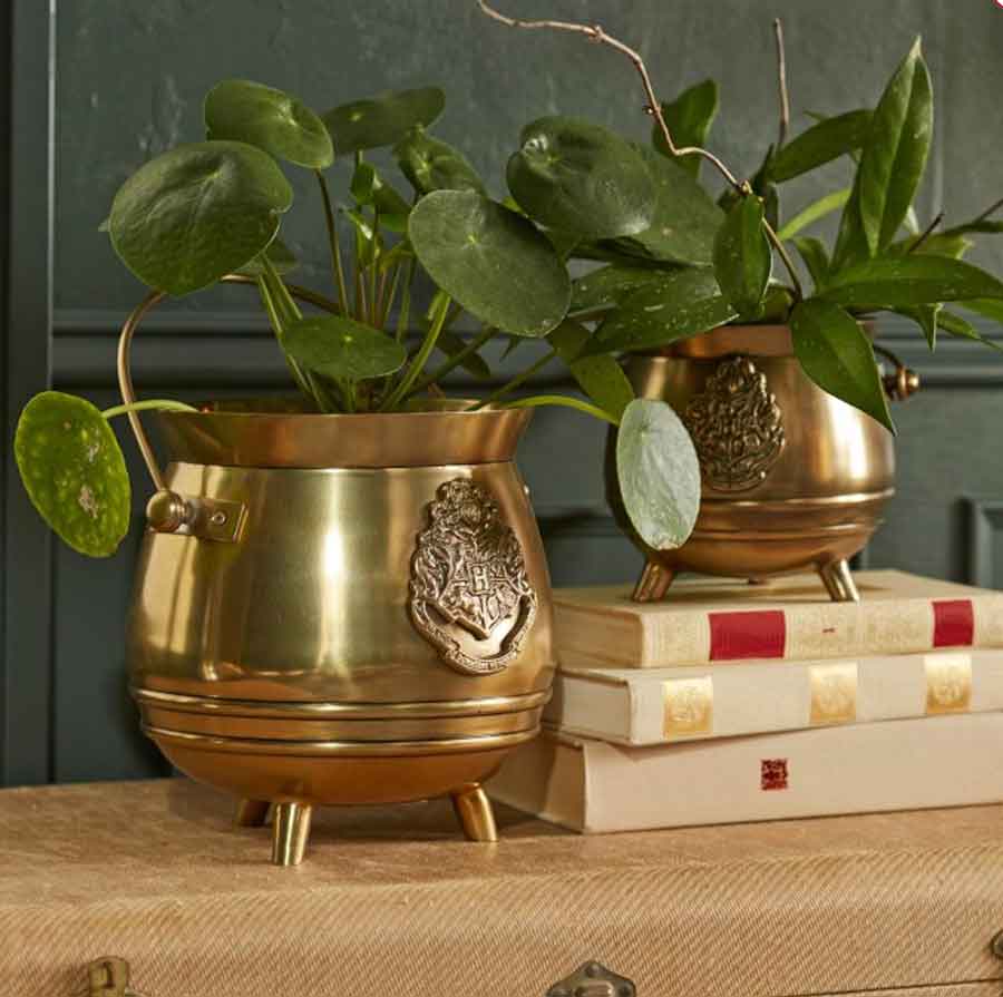 harry potter planter decor gift for women