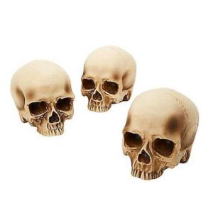 Jawless Skulls Set