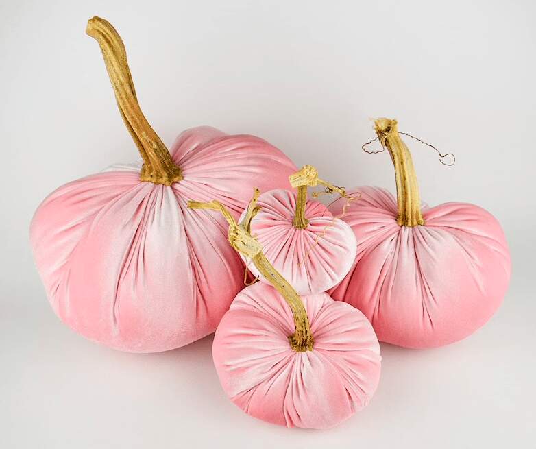 Velvet Pink Pumpkins With Natural Stems