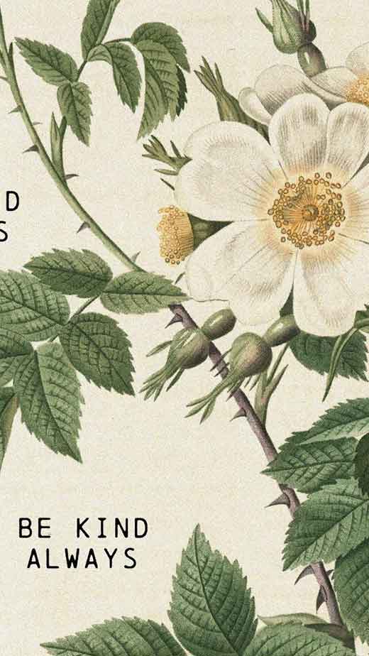 botanical vintage flower wallpaper iphone