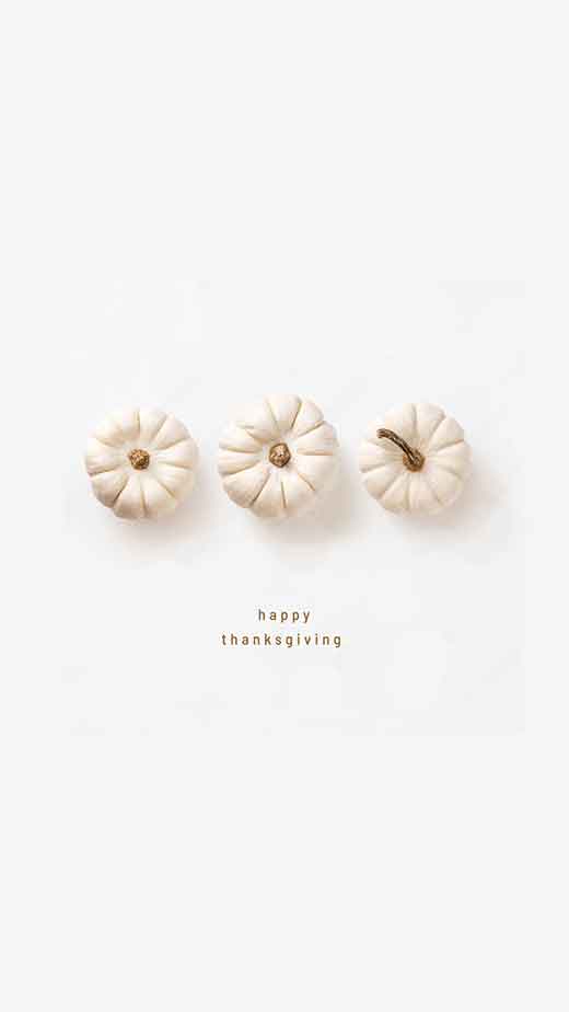 cute aesthetic thanksgiving
