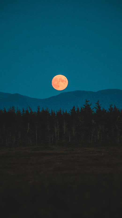  moon wallpaper aesthetic dark forest 