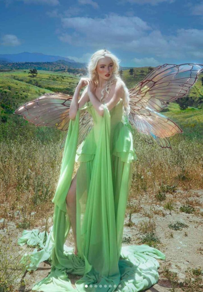 fairy halloween costume for woman