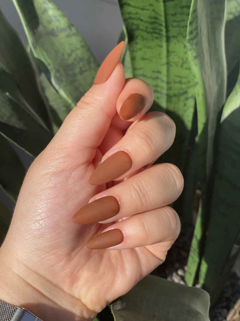 matte thanksgiving nails