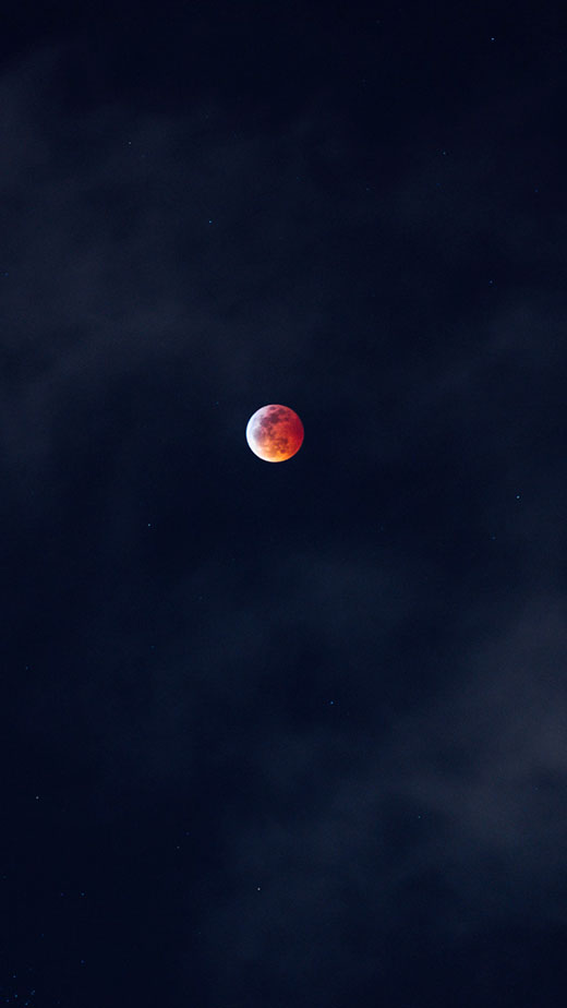 red moon wallpaper aesthetic dark forest 