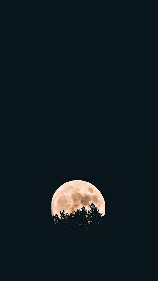 black background full moon wallpaper aesthetic dark forest 