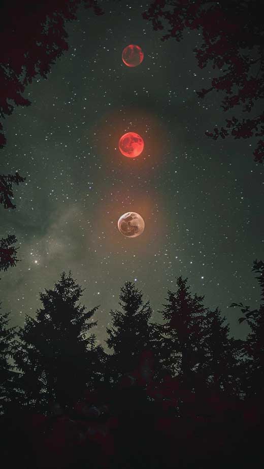 red moon wallpaper aesthetic dark forest 