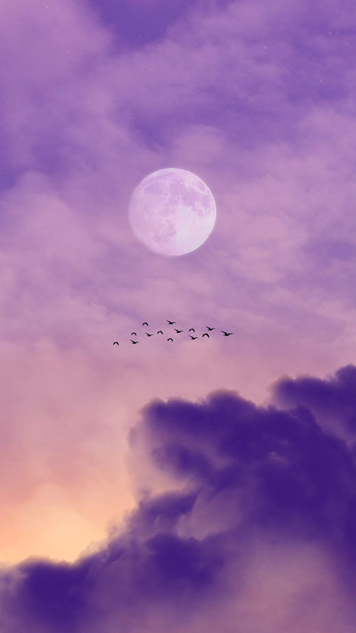 purple moon wallpaper aesthetic dark forest 