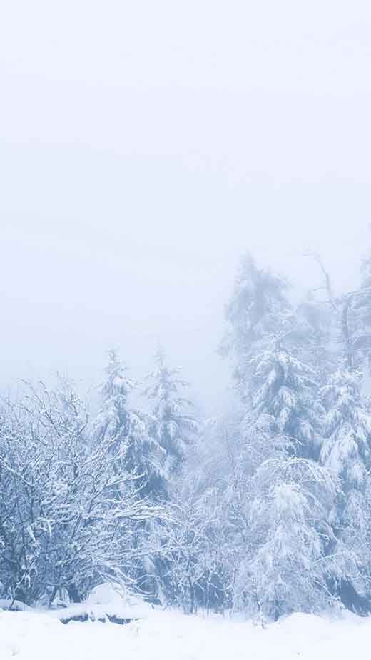 misty white winter wallpaper iphone
