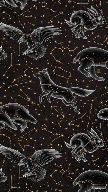 Zodiac Sings & Astrology Wallpapers for iPhone