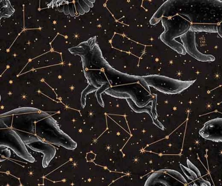 Zodiac Sings & Astrology Wallpapers for iPhone