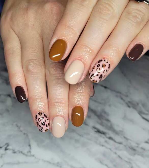 Ombre & Animal Print round nails